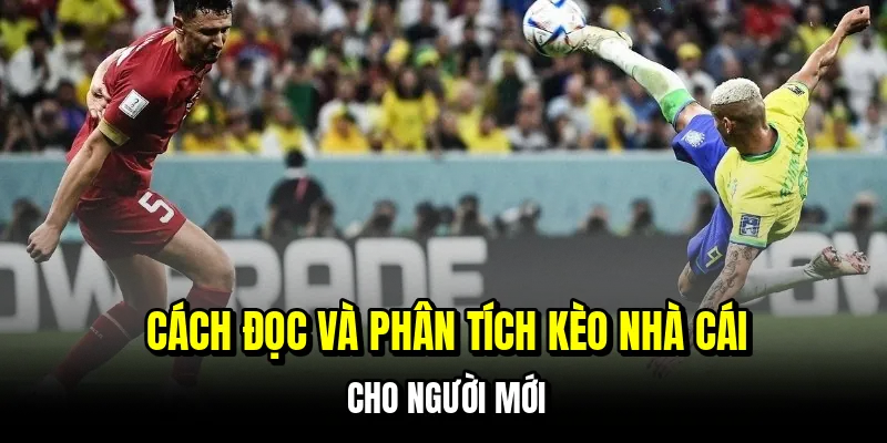 Kèo Nhà Cái - Cách Soi Bảng Kèo Chính Xác Hốt Bạc Mỗi Ngày 6 Cách đọc và phân tích kèo nhà cái cho người mới